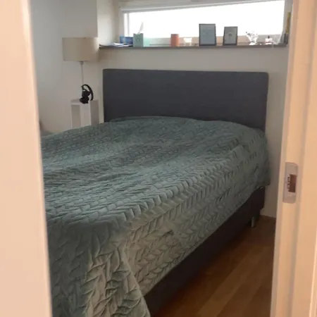 Eurovision 2024 Apartment Malmo